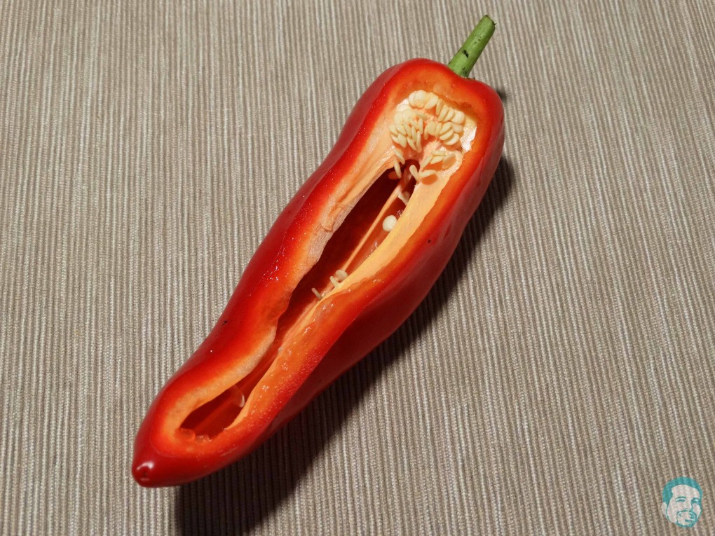 red pepper